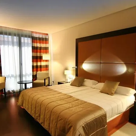 Hotel Gran Don Manuel 4*