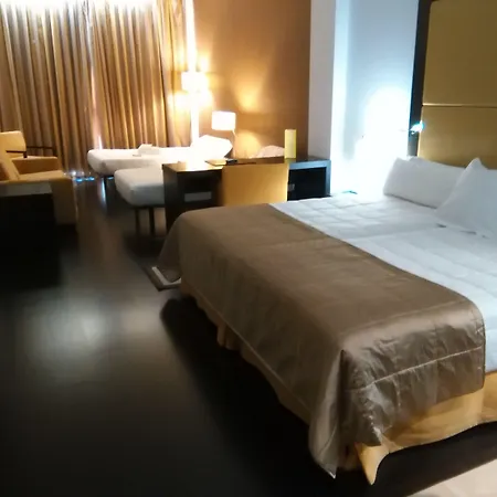 酒店 Gran Don Manuel 4*
