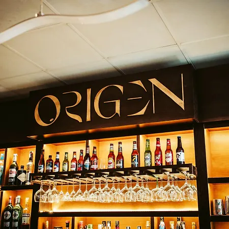 酒店 Gran Don Manuel 4*